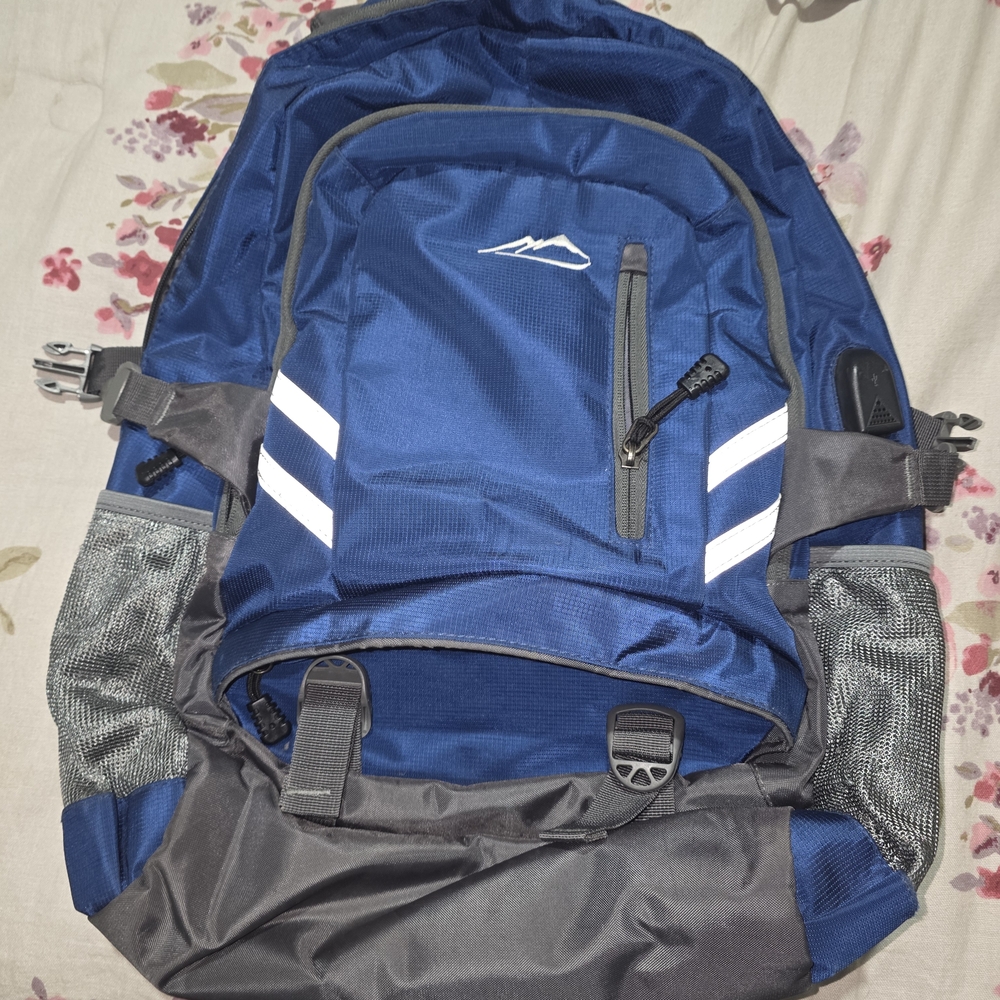 Blue and Gray Backpack